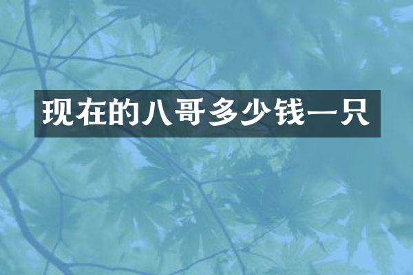 现在的八哥多少钱一只