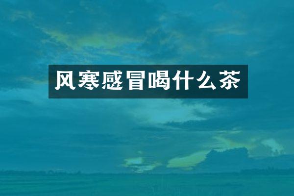 风寒感冒喝什么茶
