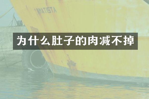 为什么肚子的肉减不掉