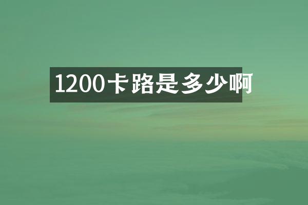 1200卡路是多少啊