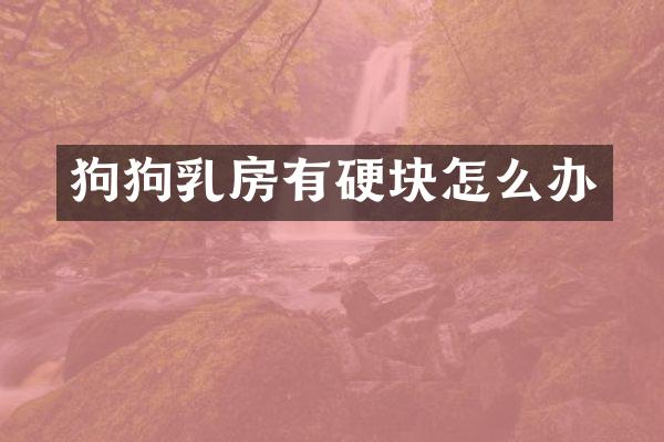 狗狗乳房有硬块怎么办