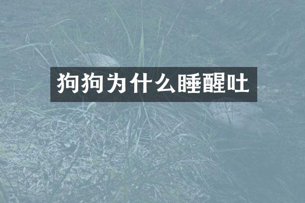 狗狗为什么睡醒吐