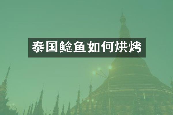 泰国鲶鱼如何烘烤