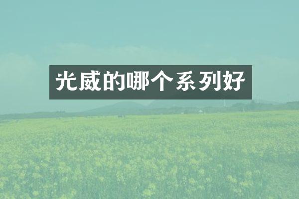 光威的哪个系列好