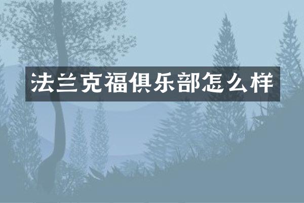 法兰克福俱乐部怎么样
