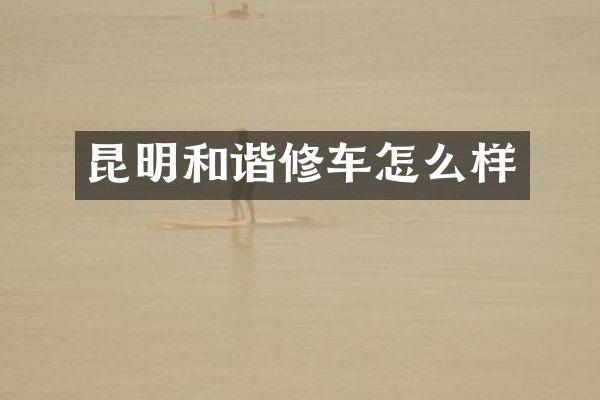 昆明和谐修车怎么样