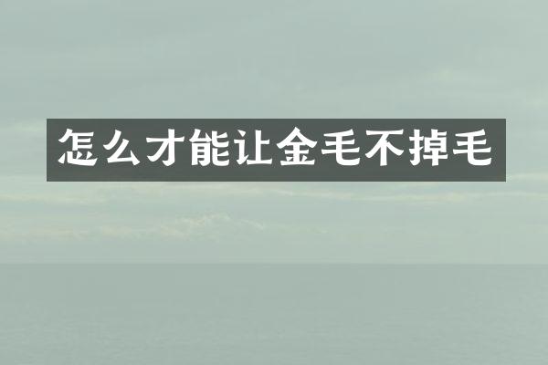 怎么才能让金毛不掉毛