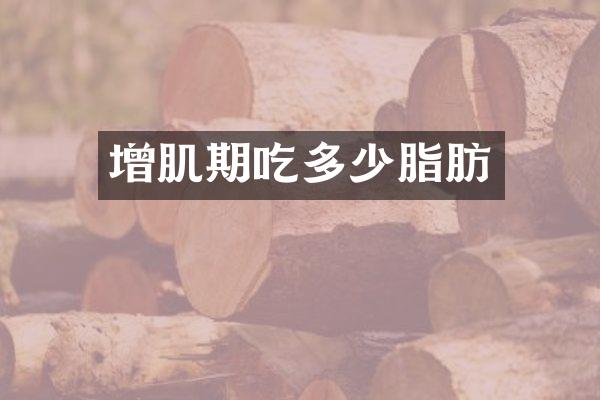 增肌期吃多少脂肪