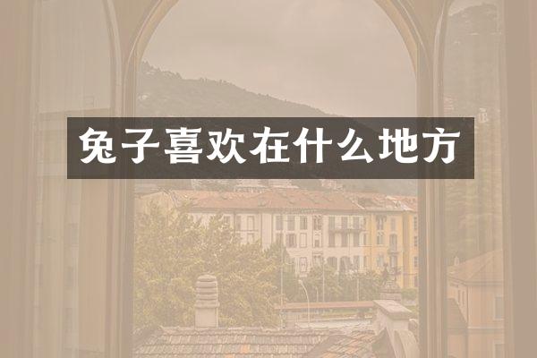 兔子喜欢在什么地方