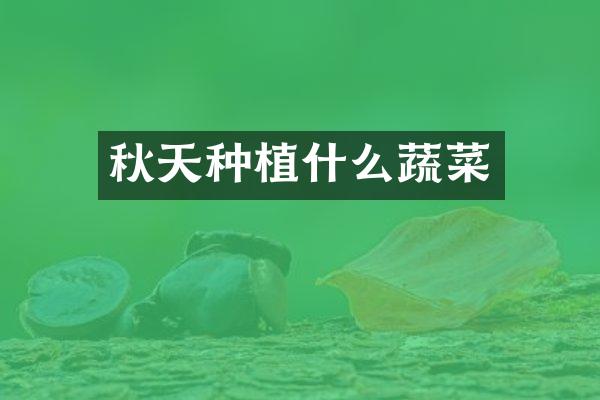 秋天种植什么蔬菜