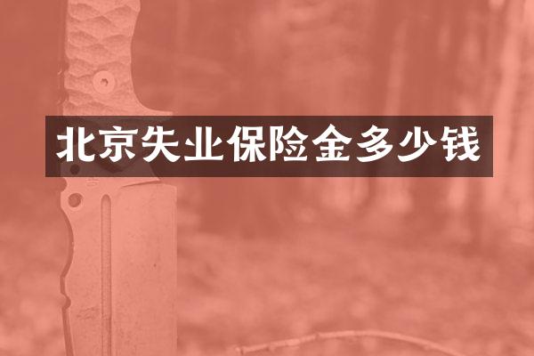 北京失业保险金多少钱