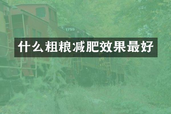 什么粗粮减肥效果最好