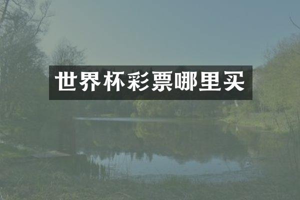 世界杯彩票哪里买