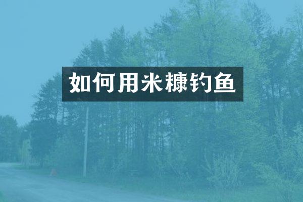 如何用米糠钓鱼
