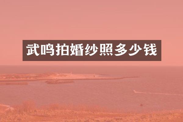 武鸣拍婚纱照多少钱