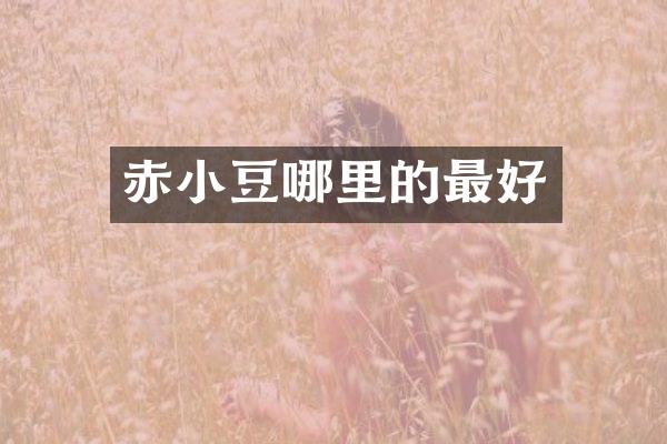 赤小豆哪里的最好