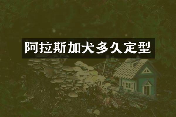 阿拉斯加犬多久定型
