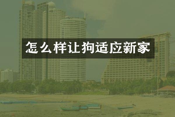 怎么样让狗适应新家