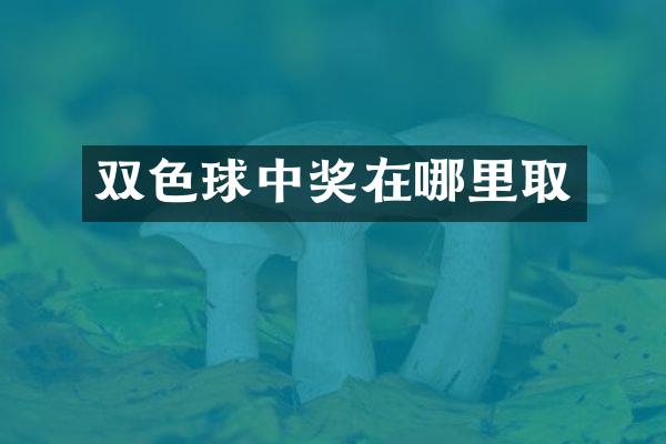 双色球中奖在哪里取