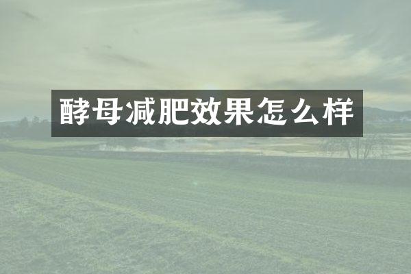 酵母减肥效果怎么样