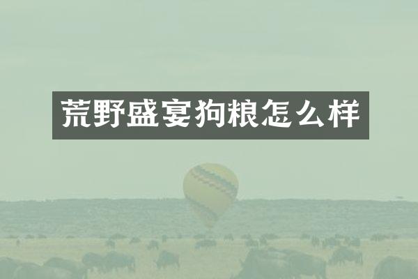 荒野盛宴怎么样