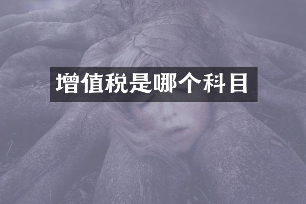 增值税是哪个科目