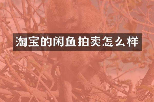 淘宝的闲鱼拍卖怎么样