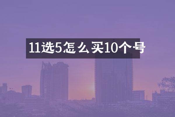 11选5怎么买10个号