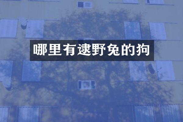 哪里有逮野兔的狗