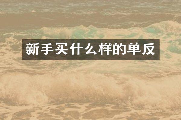 新手买什么样的单反