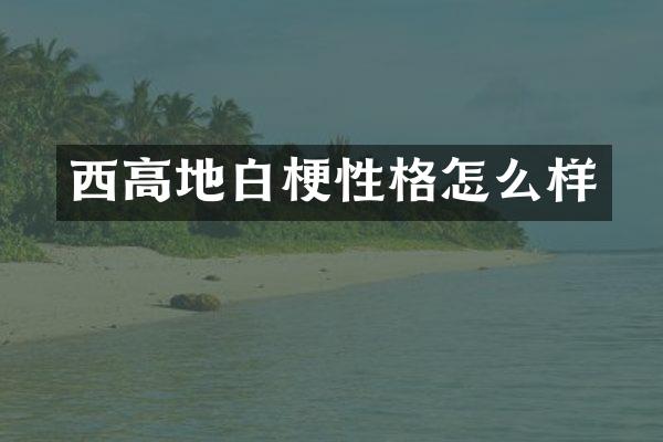 西高地白梗性格怎么样