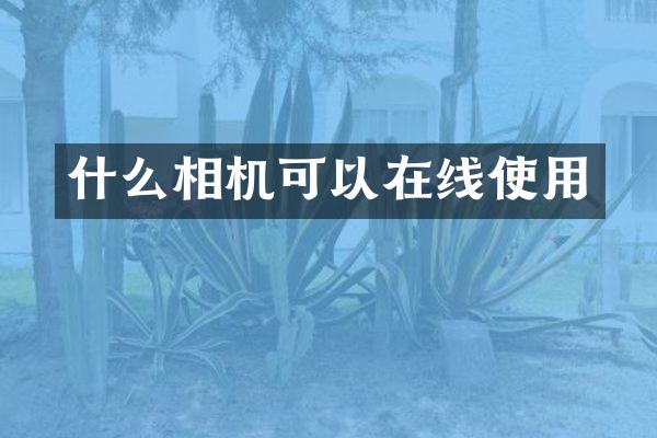 什么相机可以在线使用