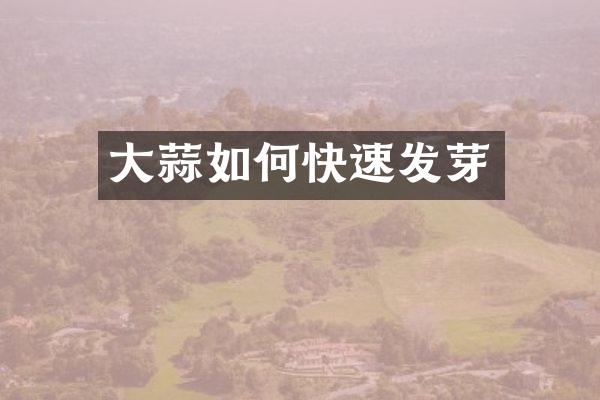 大蒜如何快速发芽