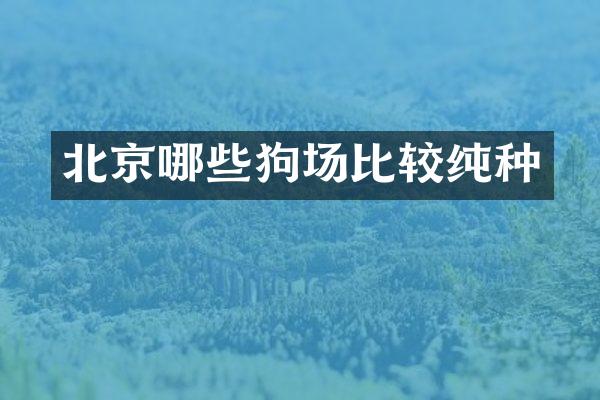 北京哪些狗场比较纯种