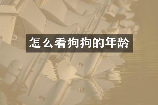 怎么看狗狗的年龄