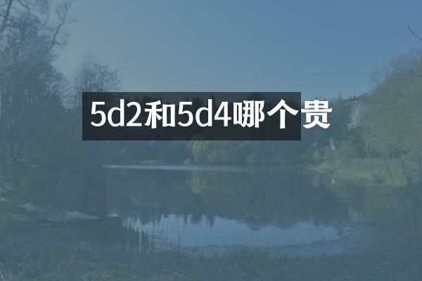 5d2和5d4哪个贵