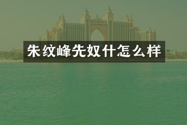 朱纹峰先奴什怎么样