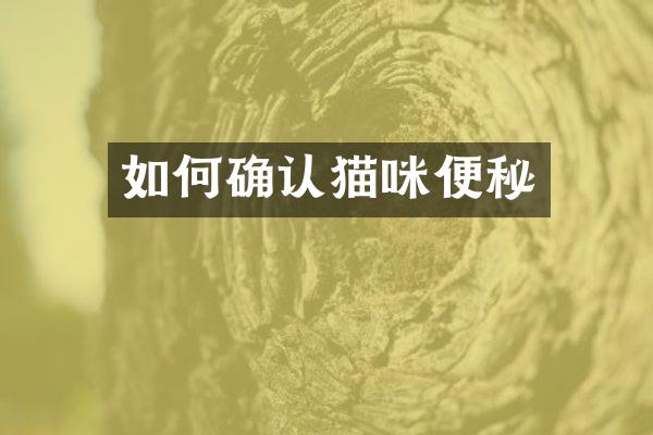 如何确认猫咪便秘