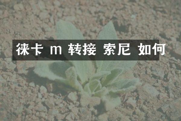 徕卡 m 转接 索尼 如何
