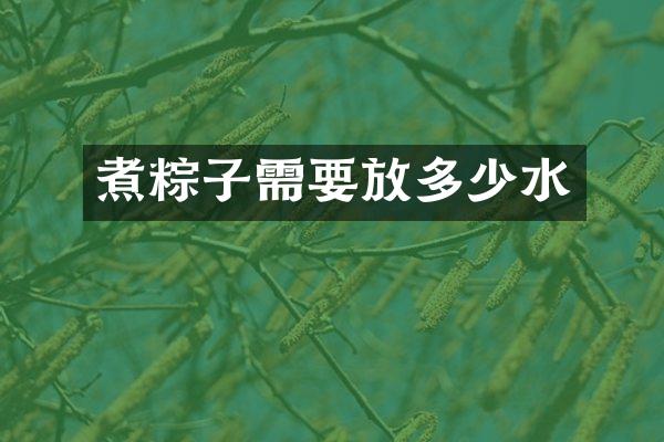 煮粽子需要放多少水