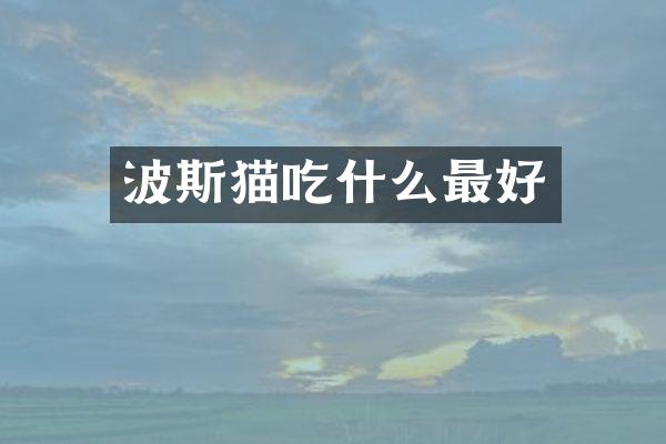 波斯猫吃什么最好