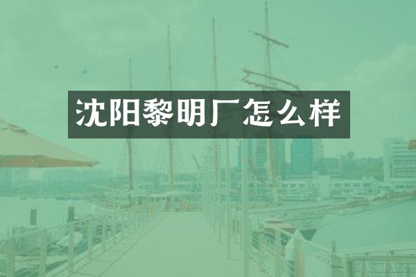 沈阳黎明厂怎么样