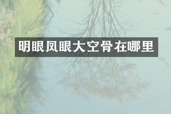 明眼凤眼大空骨在哪里