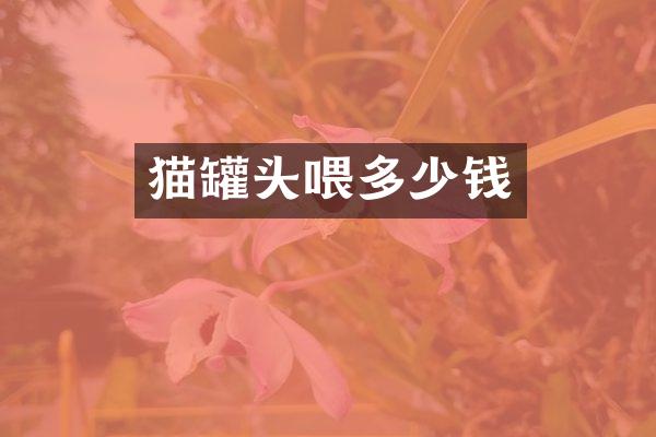 猫罐头喂多少钱