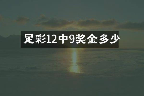 12中9奖金多少