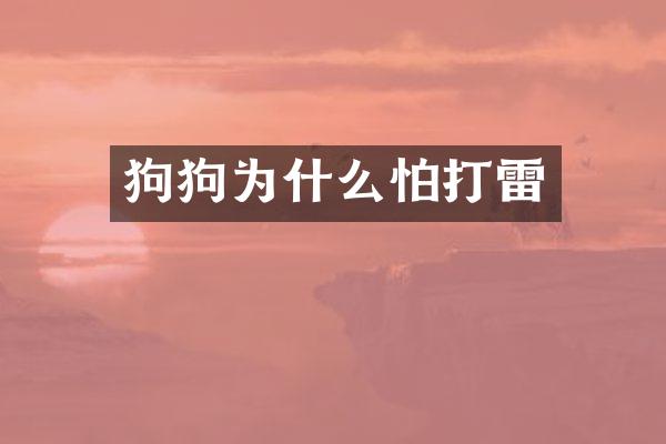 狗狗为什么怕打雷