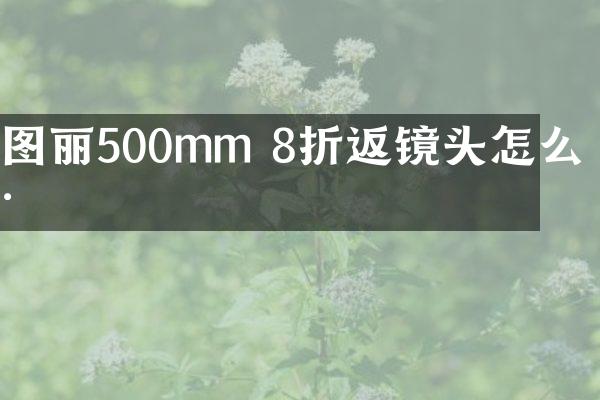 图丽500mm 8折返镜头怎么样