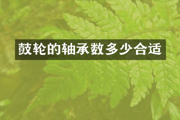 鼓轮的轴承数多少合适