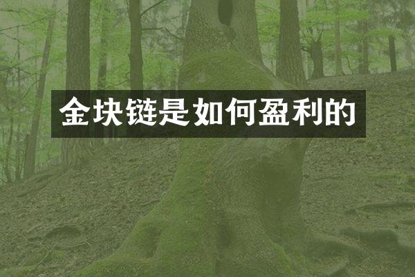 金块链是如何盈利的