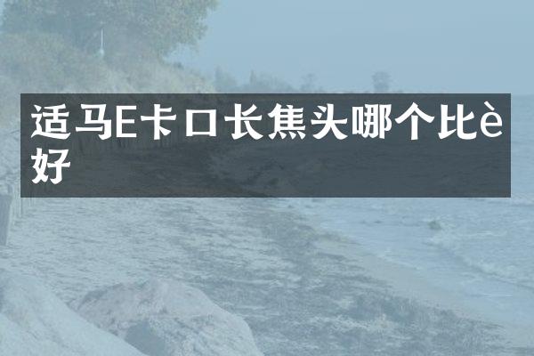 适马E卡口长焦头哪个比较好